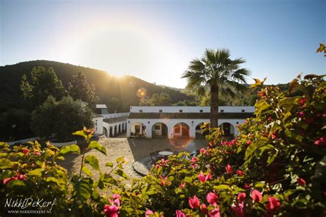 HACIENDA BUENA SUERTE .